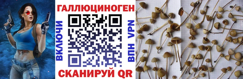 Галлюциногенные грибы прущие грибы  гидра ONION  Новосиль 