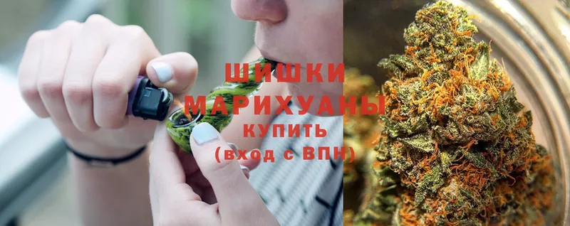 Каннабис Ganja  Новосиль 